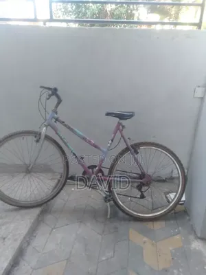Riding Bicycle