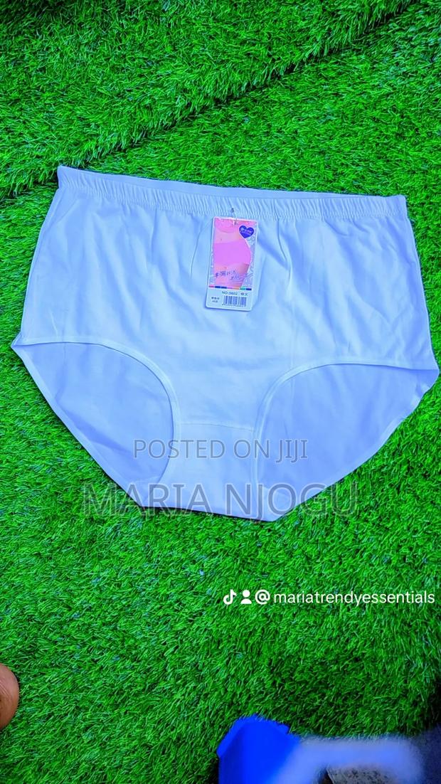 Plus Size Full Coverage Cotton Panties - thumbnail 3