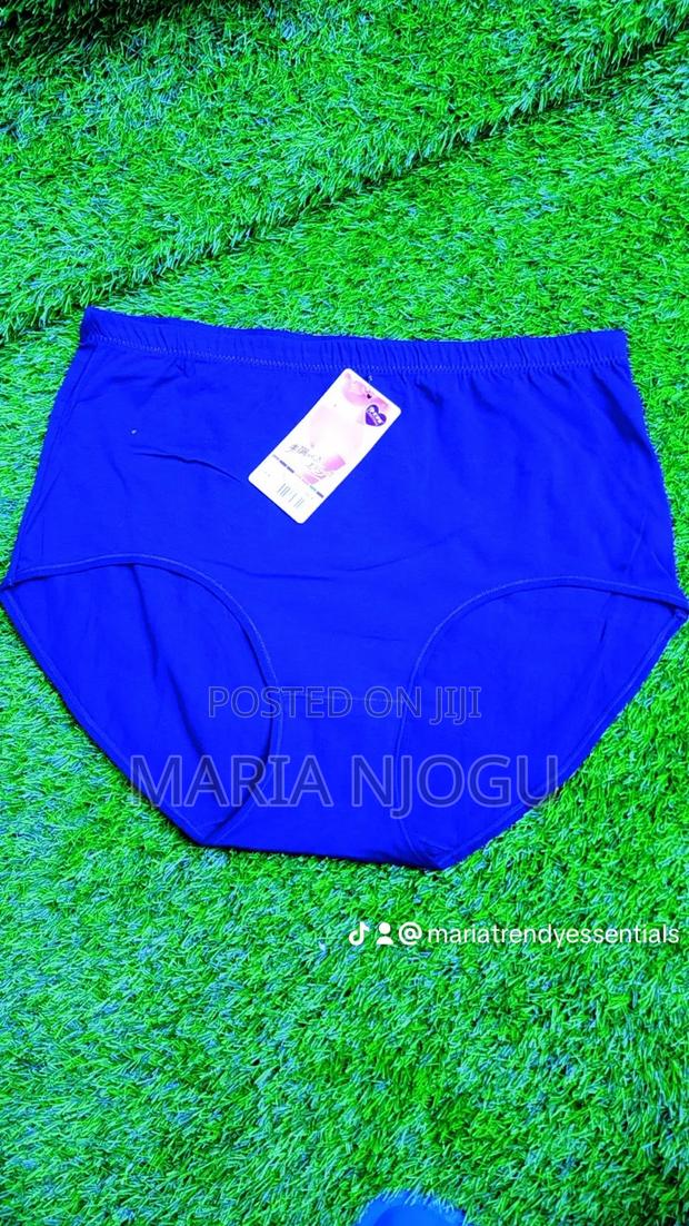 Plus Size Full Coverage Cotton Panties - thumbnail 5
