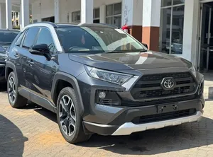 Toyota RAV4 Adventure AWD 2020 Gray