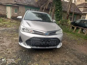 Toyota Corolla Fielder 2020 Silver