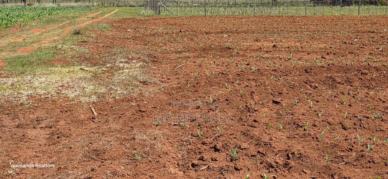 Prime 2 Acres for Sale Illula L8mo Eldoret