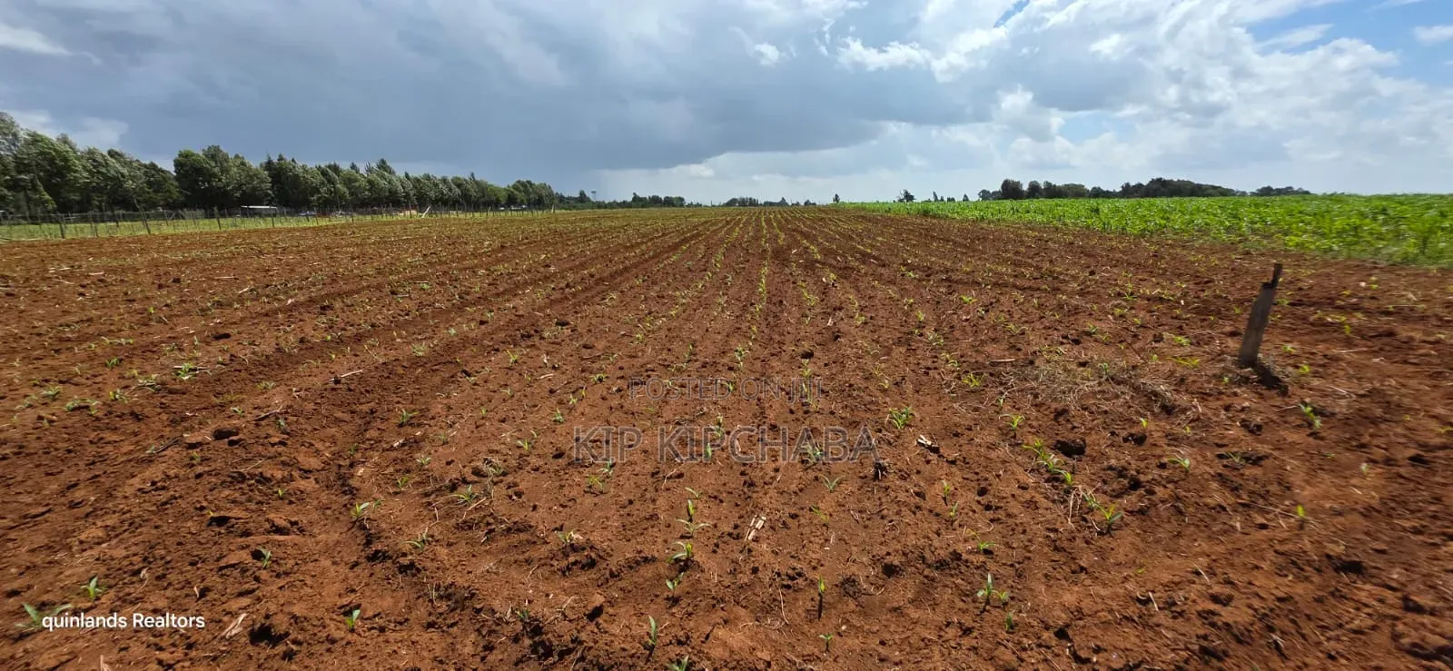Prime 2 Acres for Sale Illula L8mo Eldoret