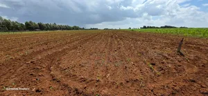 Prime 2 Acres for Sale Illula L8mo Eldoret
