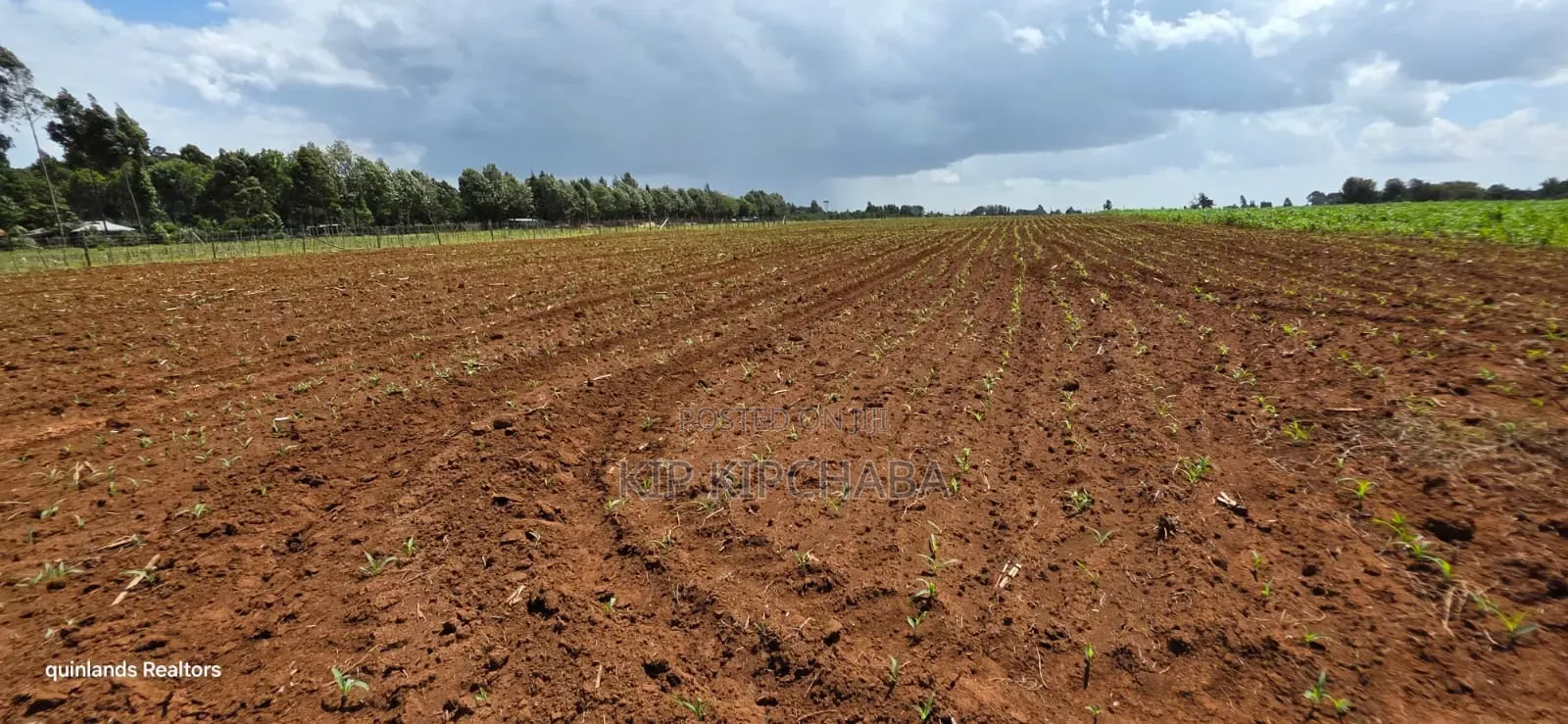 Prime 2 Acres for Sale Illula L8mo Eldoret