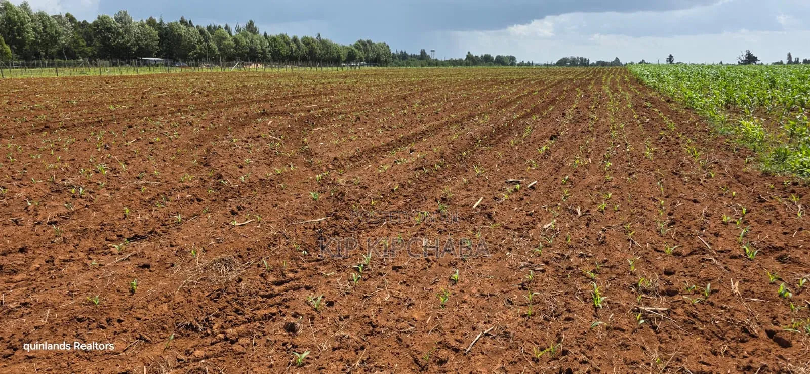 Prime 2 Acres for Sale Illula L8mo Eldoret