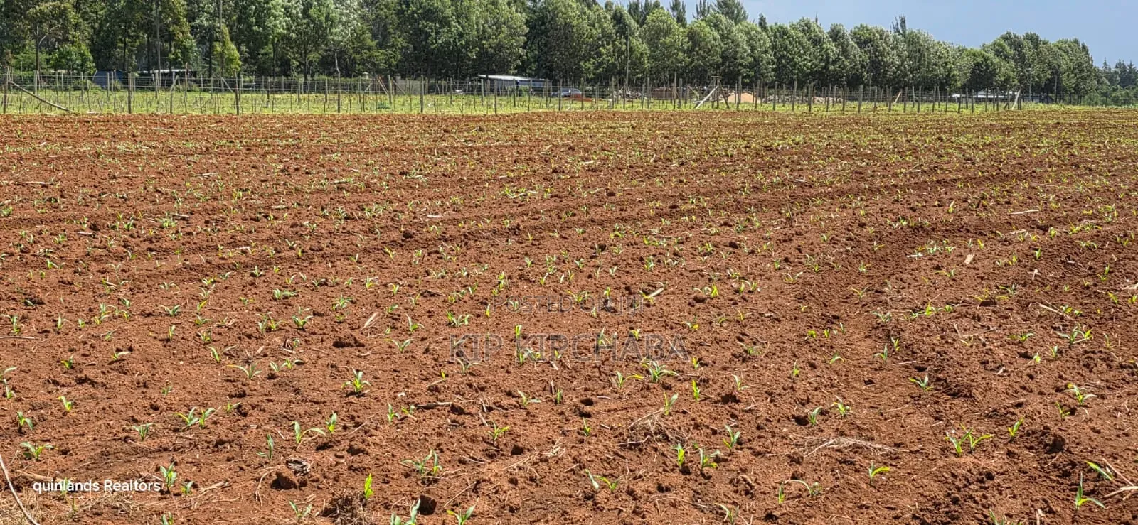 Prime 2 Acres for Sale Illula L8mo Eldoret