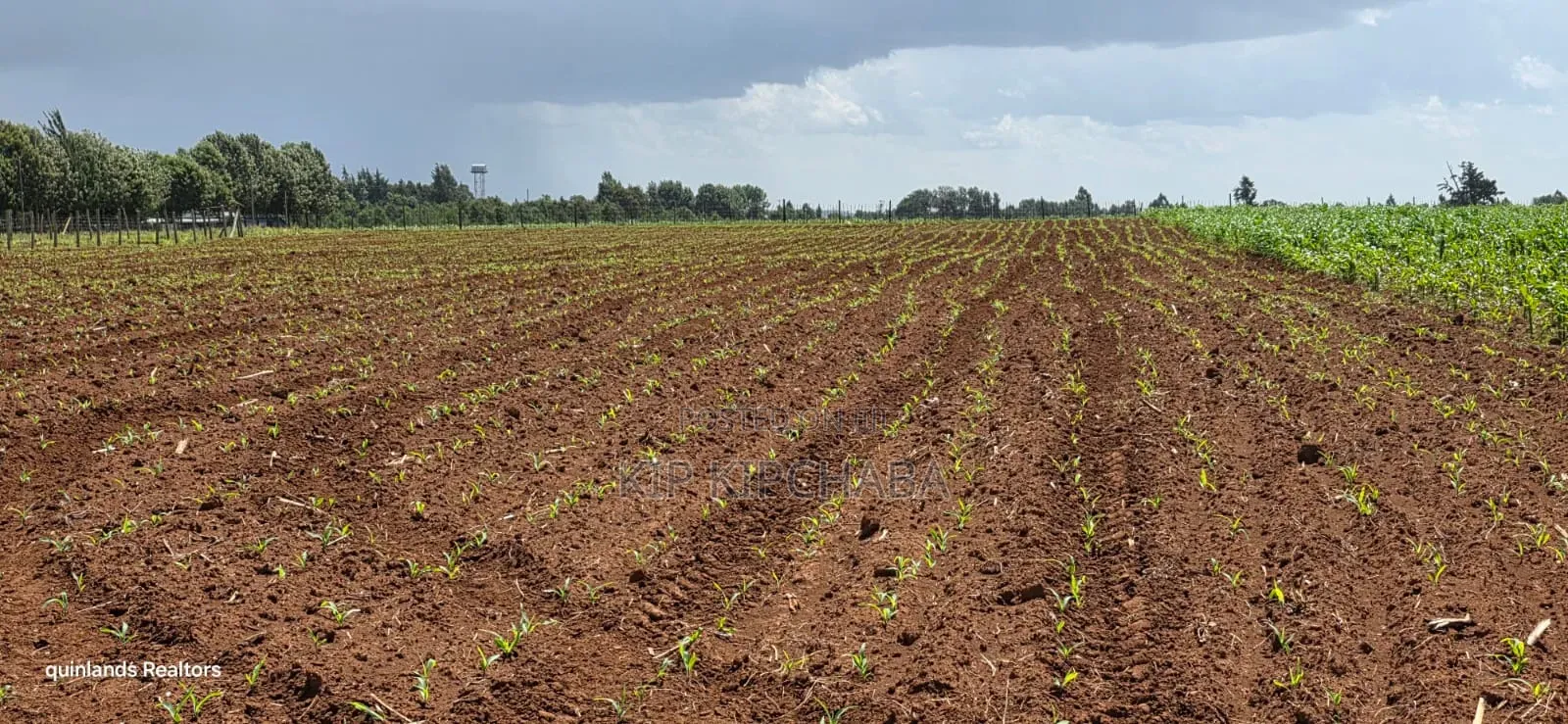 Prime 2 Acres for Sale Illula L8mo Eldoret