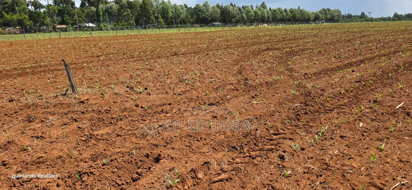 Prime 2 Acres for Sale Illula L8mo Eldoret