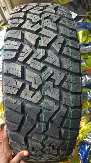 225/65r17 X Pounce