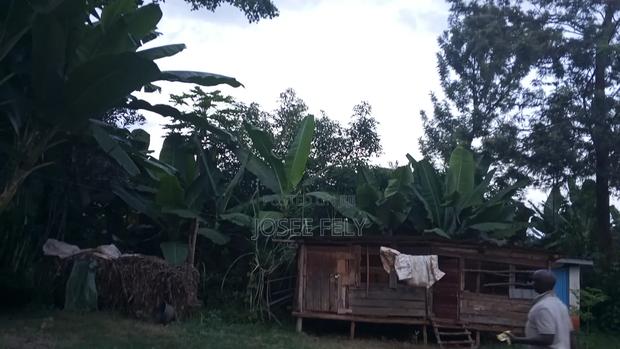 Land for Sale - thumbnail 3