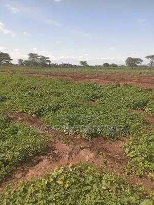 2 Acres at Kimana. Kajiado