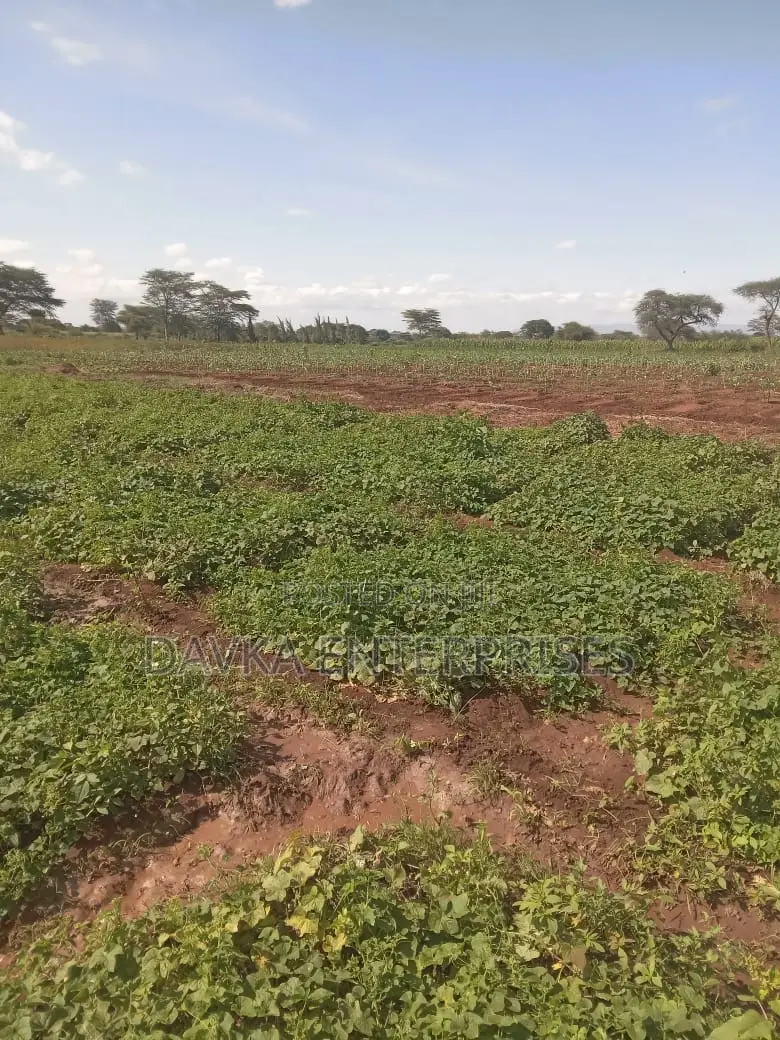 2 Acres at Kimana. Kajiado