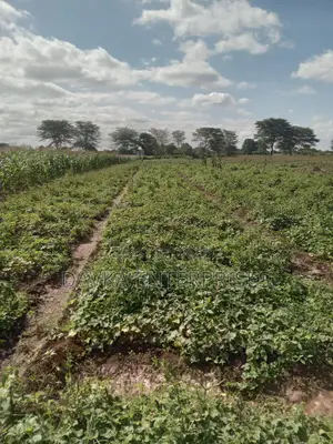 2 Acres at Kimana. Kajiado