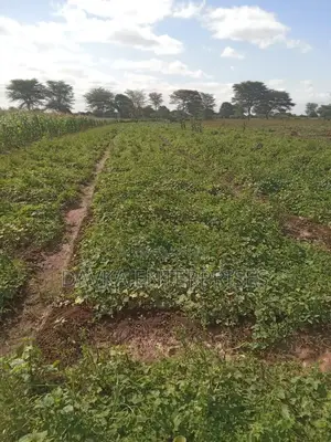 2 Acres at Kimana. Kajiado