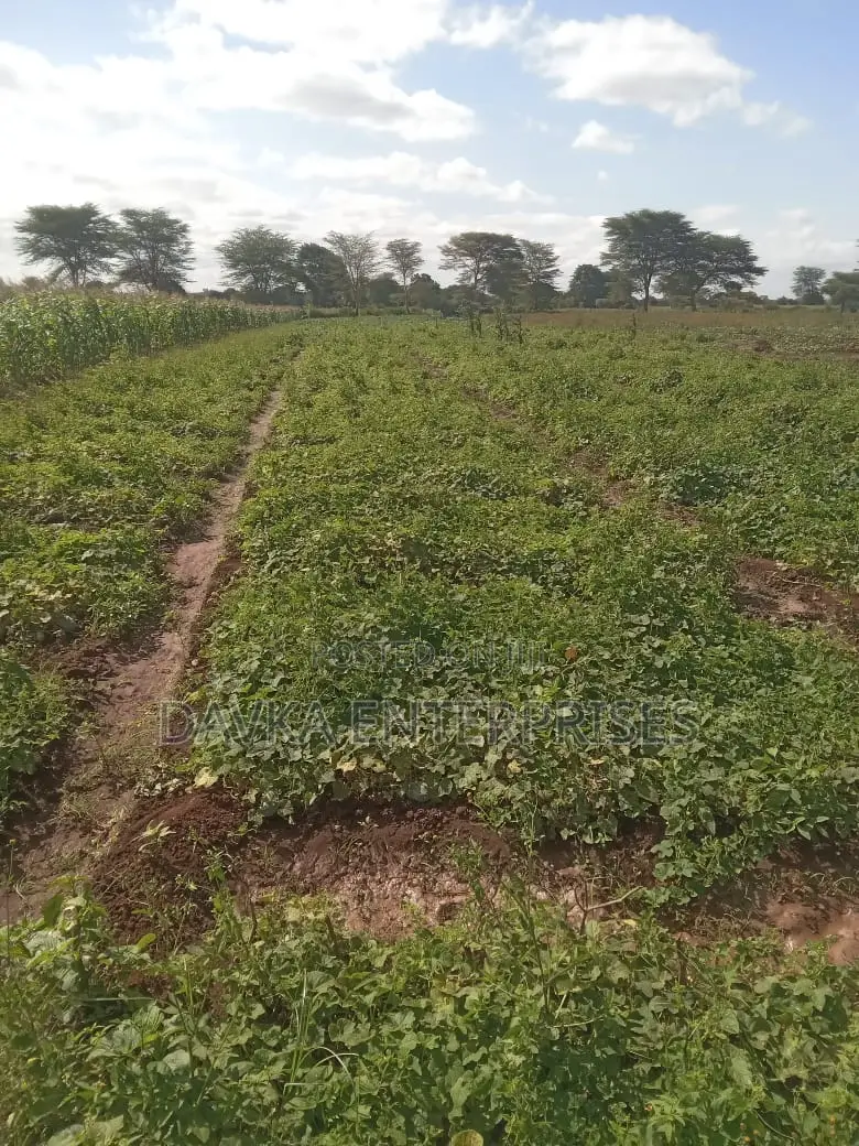 2 Acres at Kimana. Kajiado
