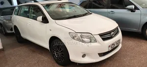 Toyota Corolla Fielder 2010 White
