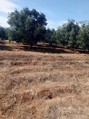 Embu Prime Plot