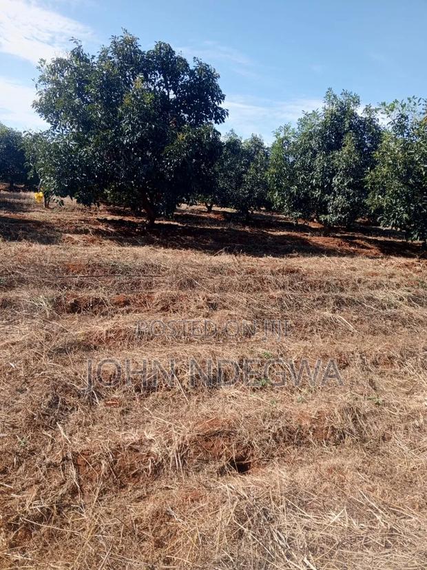 Embu Prime Plot