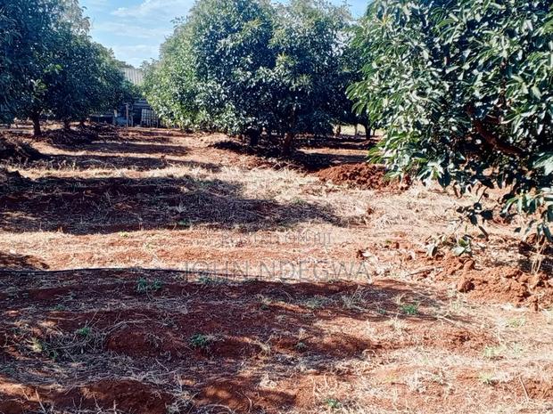 Embu Prime Plot - thumbnail 6