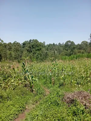 1/2 Acre Land for Sale in Olkeri, Karen West.