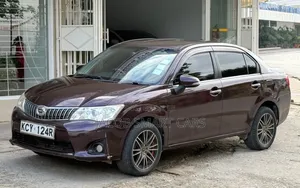 Toyota Axio 2012 Maroon