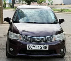Toyota Axio 2012 Maroon