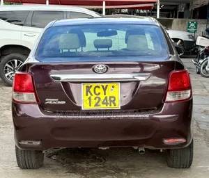 Toyota Axio 2012 Maroon