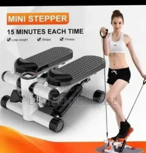 Ministepper