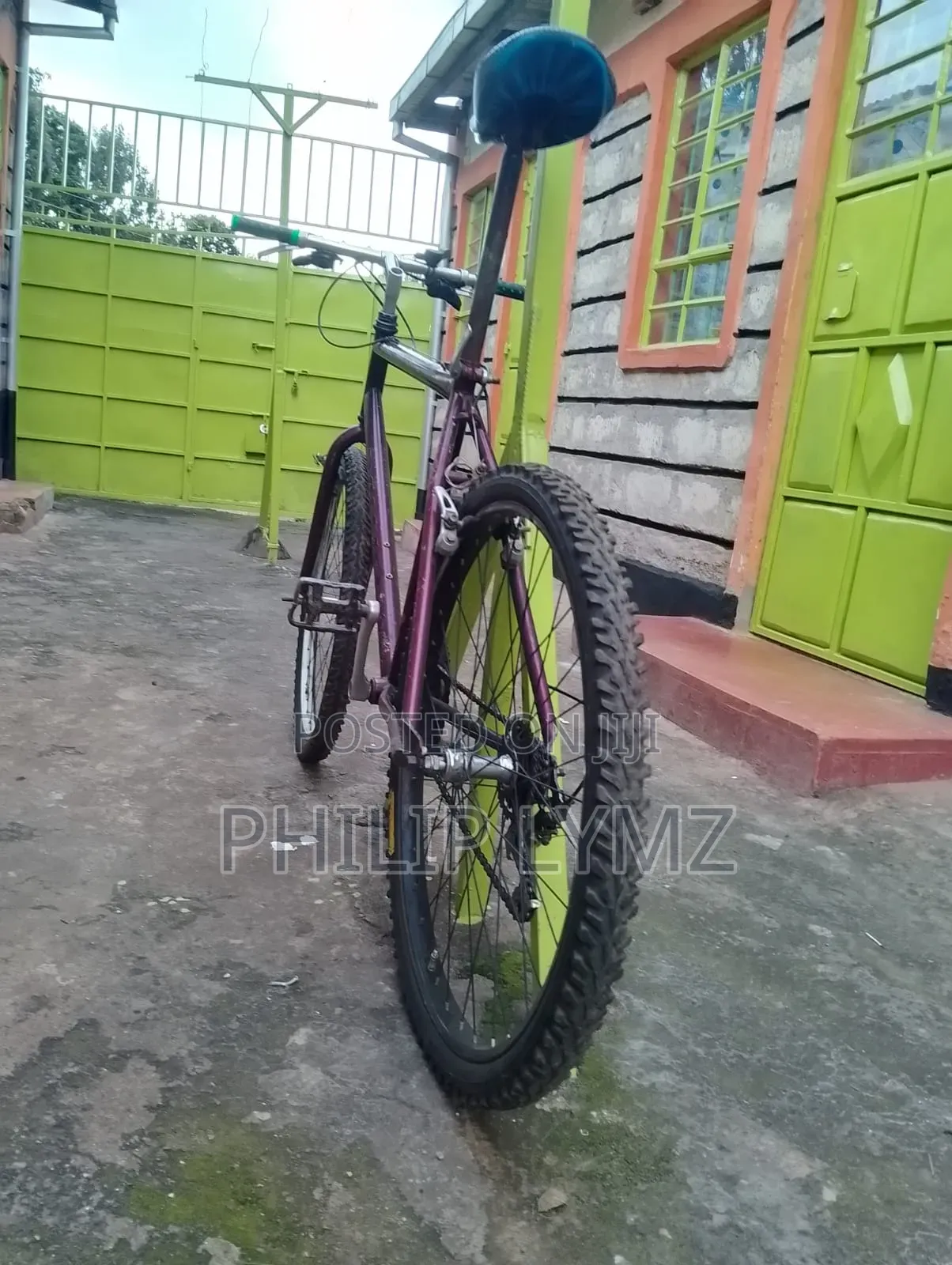 Mountain Bike