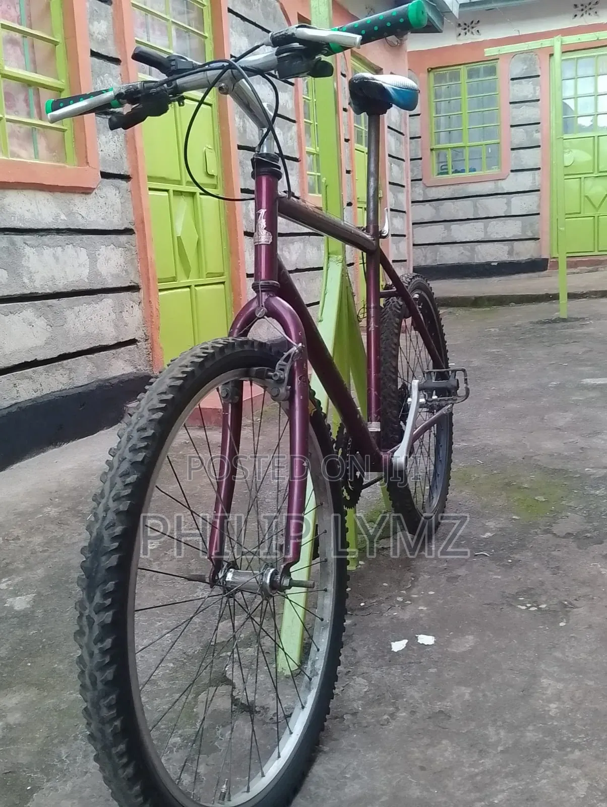 Mountain Bike