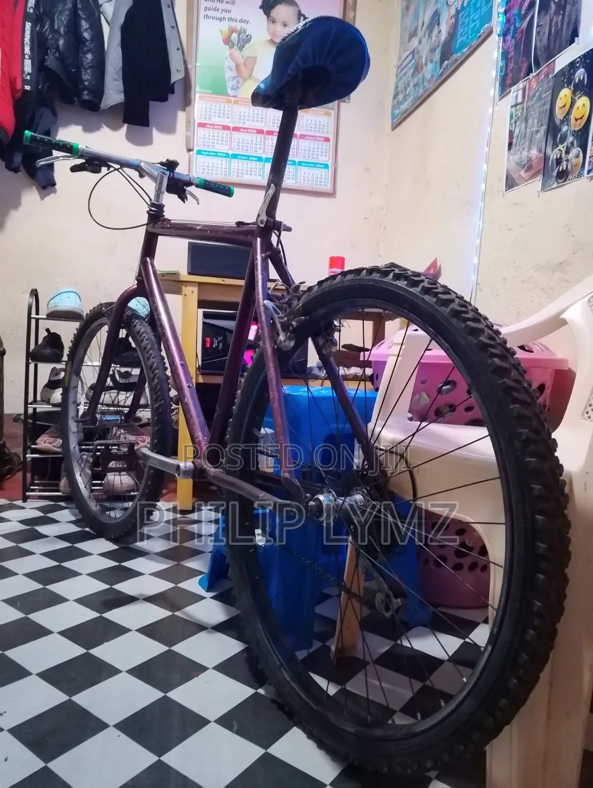 Mountain Bike
