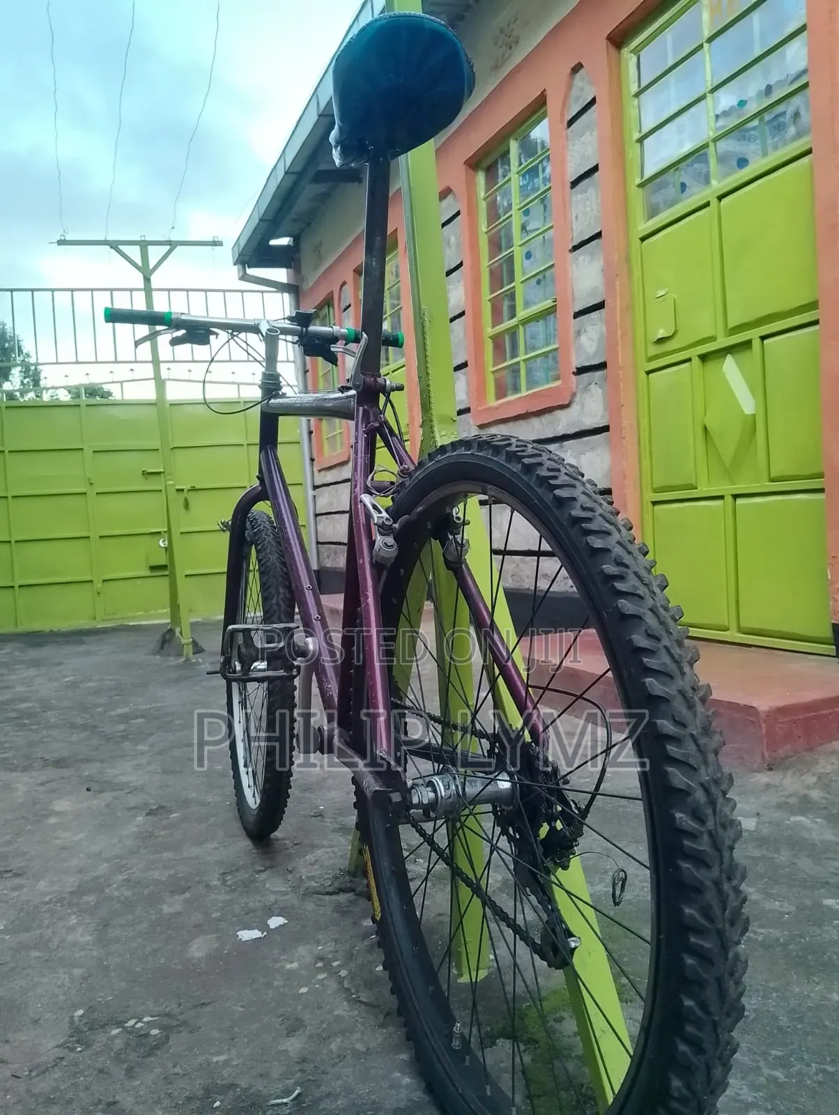 Mountain Bike