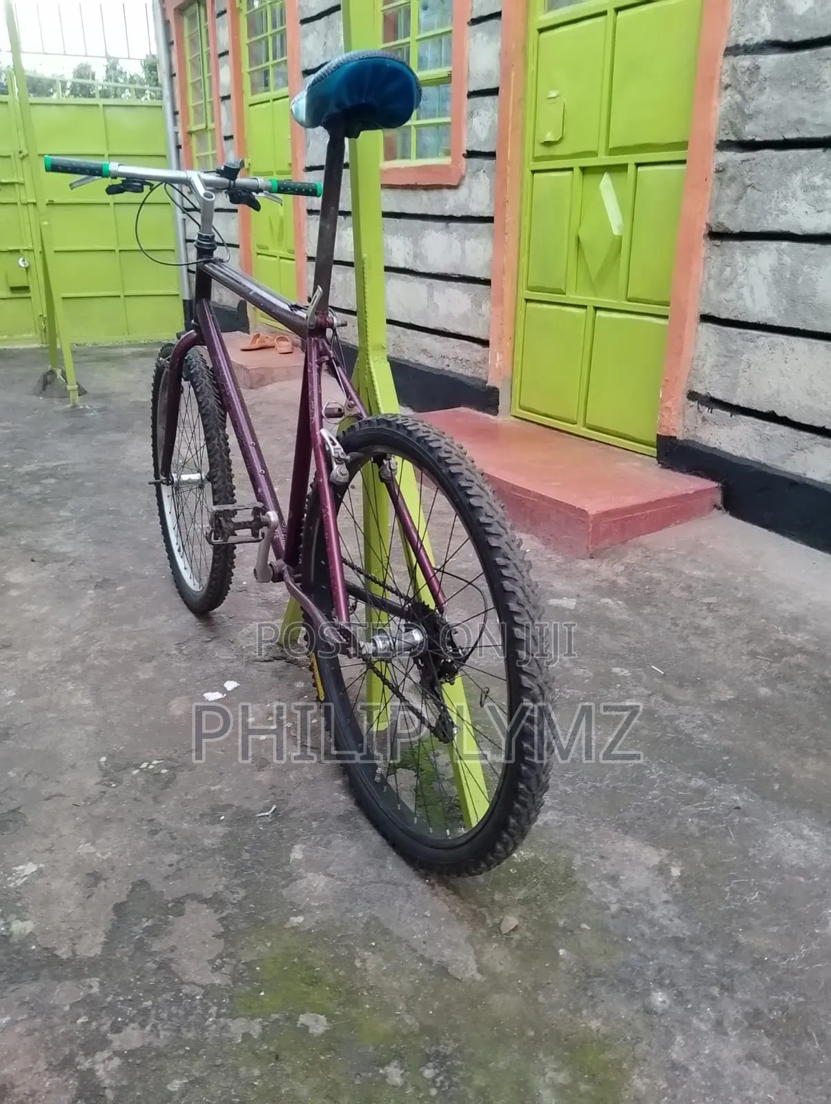 Mountain Bike