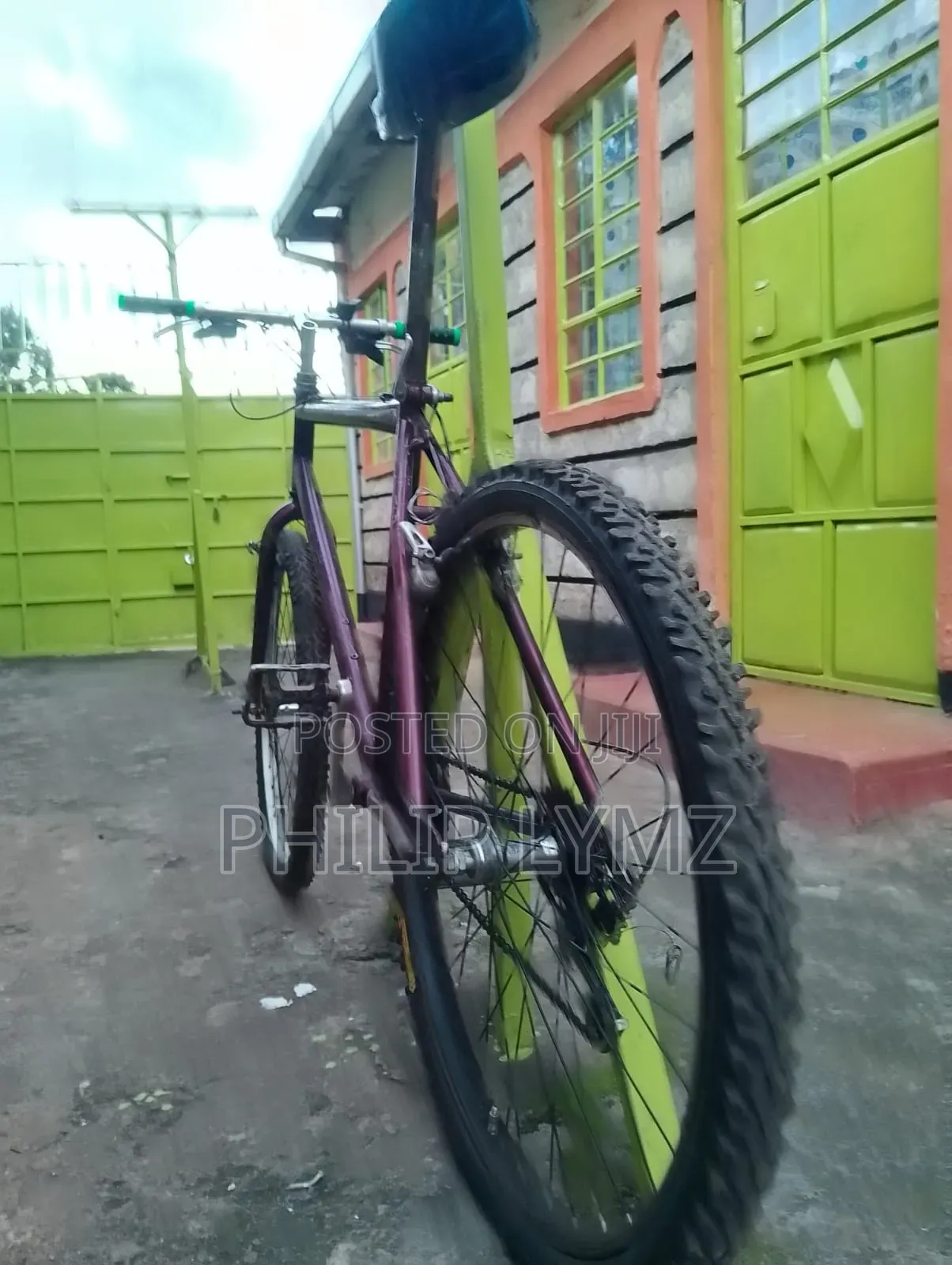 Mountain Bike