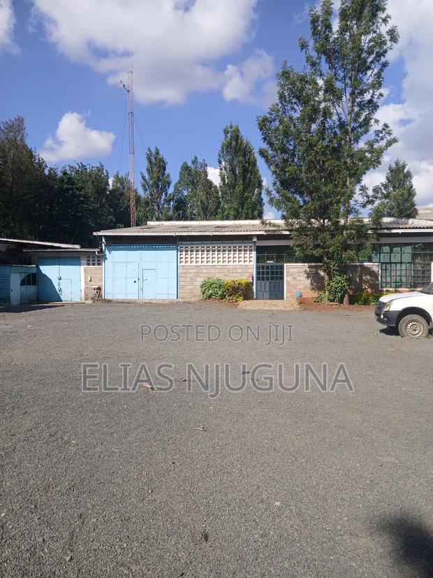 Roysambu(Opposite Kasaran Stadium)Plot to Let 100×50 at Available - thumbnail 5