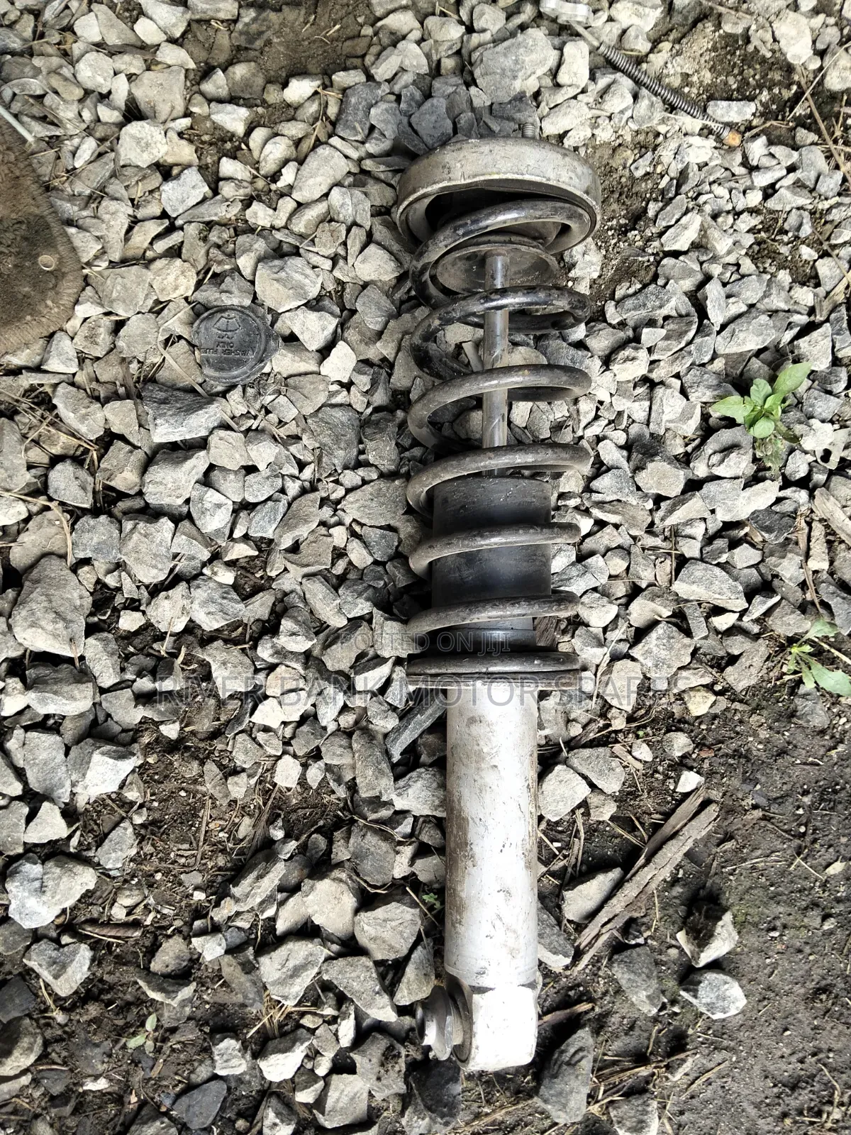 BMW E 39 5 Series Rear Shock