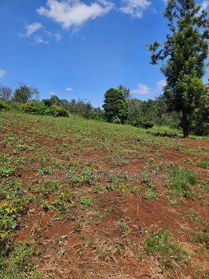 Half an Acre on Sale at Kenol-Kagaa