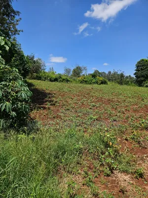 Half an Acre on Sale at Kenol-Kagaa