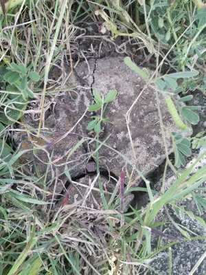 Prime 100x100 Plot in Gatundu Block 21 (Phase 2) Murram Soil