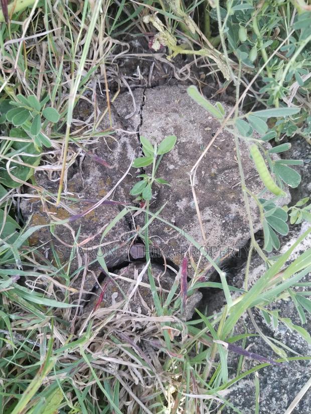 Prime 100x100 Plot in Gatundu Block 21 (Phase 2) Murram Soil - thumbnail 2
