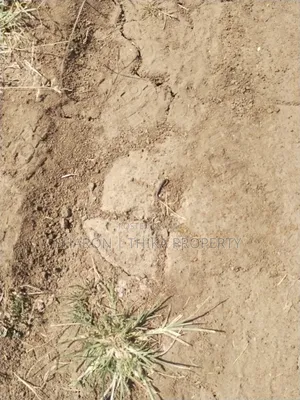 Prime 100x100 Plot in Gatundu Block 21 (Phase 2) Murram Soil