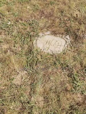Prime 100x100 Plot in Gatundu Block 21 (Phase 2) Murram Soil