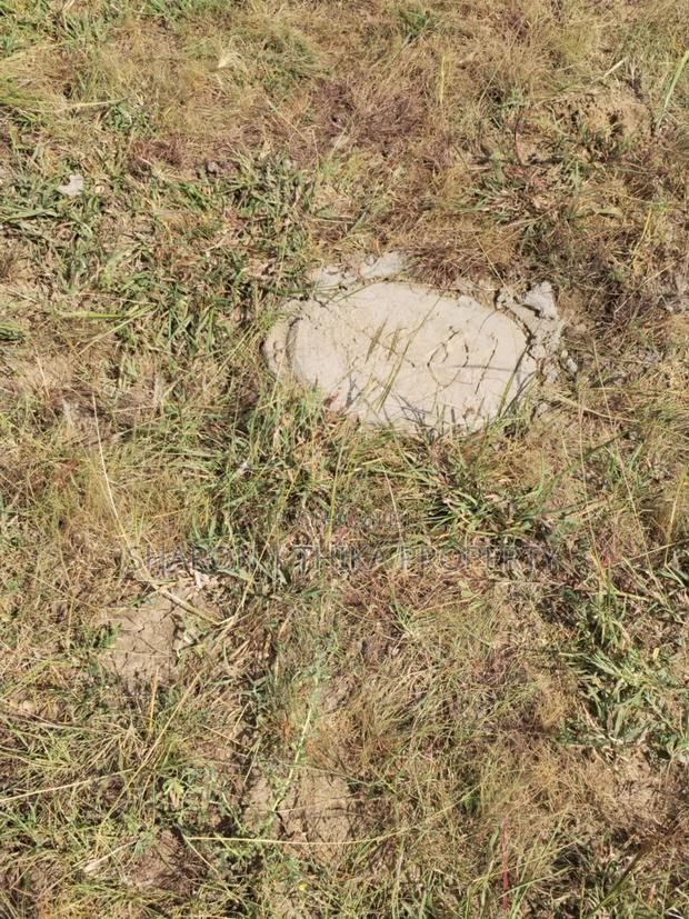 Prime 100x100 Plot in Gatundu Block 21 (Phase 2) Murram Soil - thumbnail 5