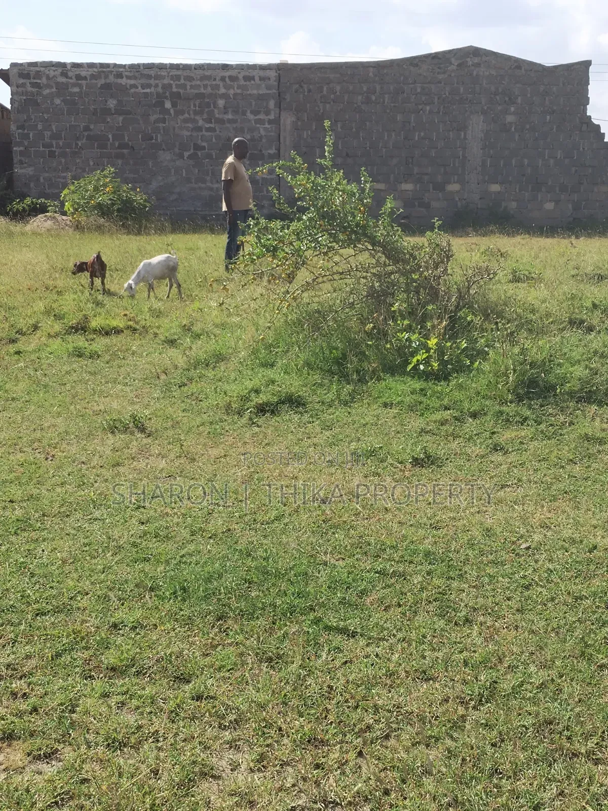 Prime 100x100 Plot in Gatundu Block 21 (Phase 2) Murram Soil