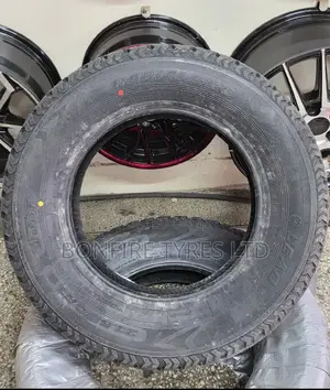 215/70r16 Leao Tire