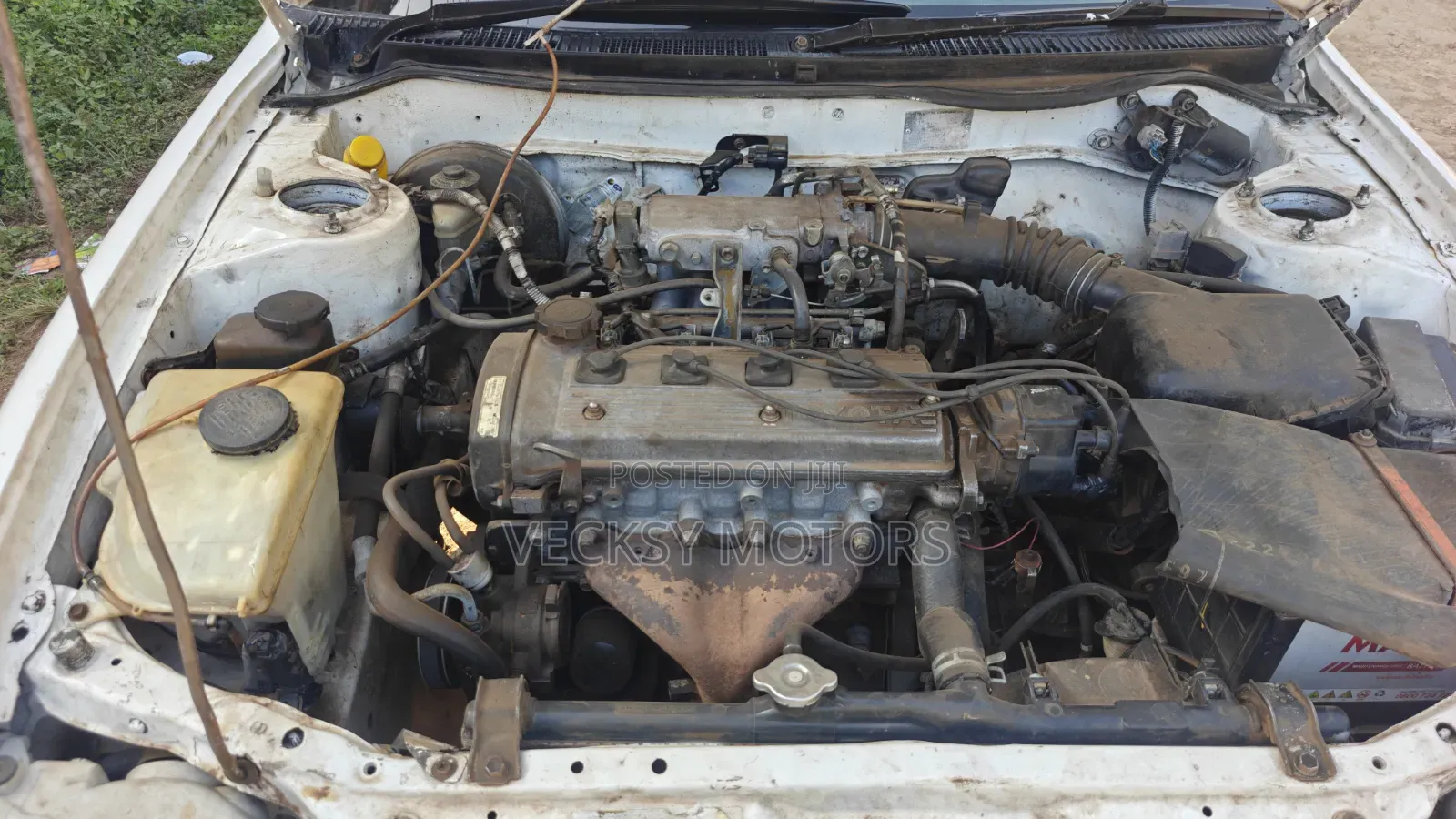 Toyota Corolla 1997 White