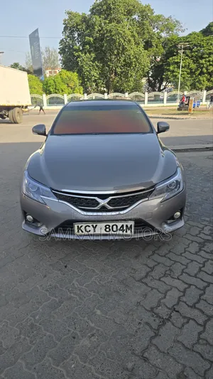 Toyota Mark X 2013 Gray