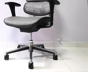 Office Chairs; Orthopedic Executive Ww7u-P Office Chairs
