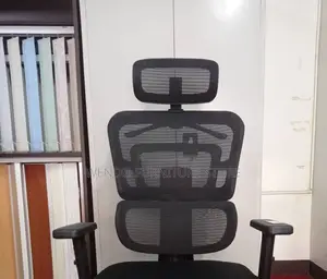 Office Chairs; Orthopedic Executive Ww7u-P Office Chairs
